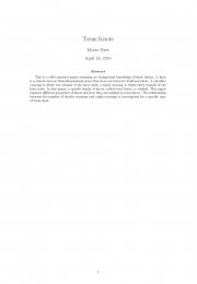 Torus Knots