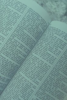 Spanish Bible Green