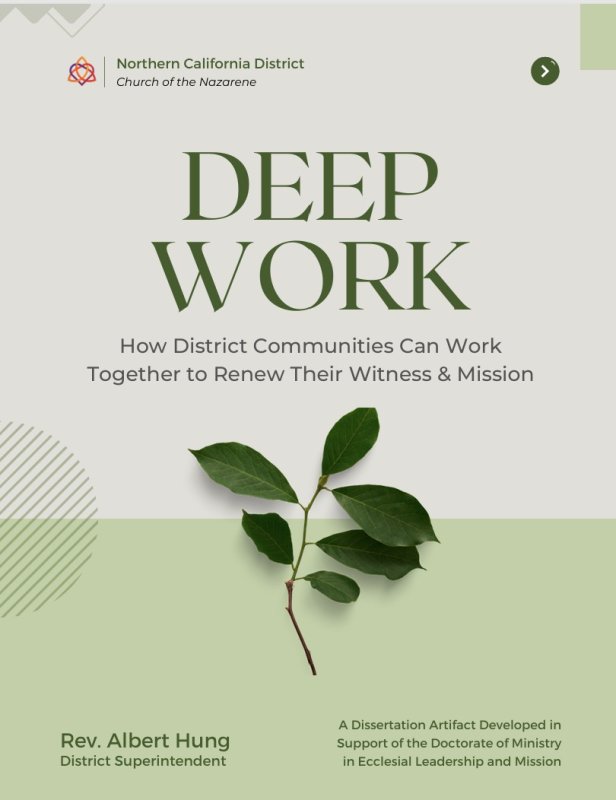 Deep Work: How District Communities can Work Together to Renew their Witness and Mission